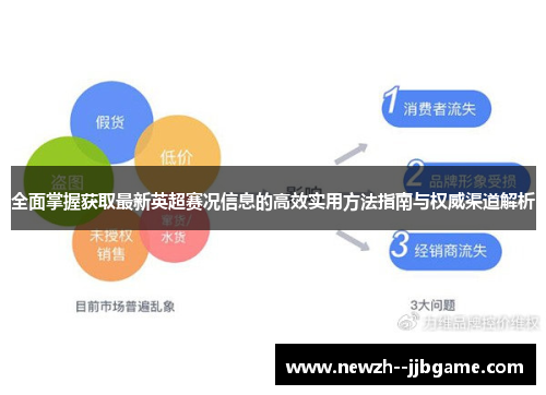 全面掌握获取最新英超赛况信息的高效实用方法指南与权威渠道解析